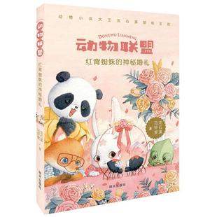 神秘婚礼 红背蜘蛛 动物联盟沈石溪马轩旻著 正版