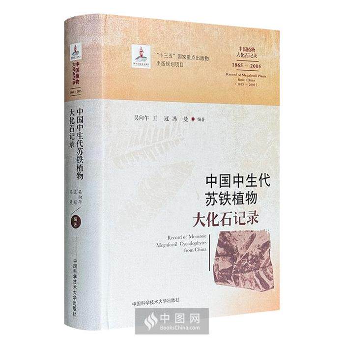 【正版】中国中生代苏铁植物大化石记录吴向午，王冠，冯曼编著