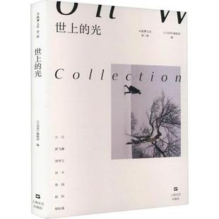 【正版】世上的光【小说界文库(第二辑)】上海文艺出版社