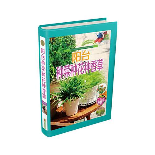 【正版】阳台种菜种花种香草白虹北京联合出版公司