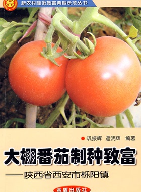 【正版】大棚番茄制种致富-陕西省西安市栎阳镇巩振辉金盾出版社
