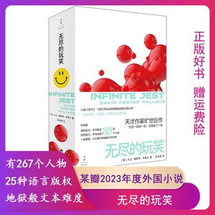 【正版】无尽的玩笑上海人民美术出版社