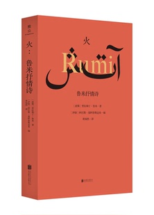 【正版】火:鲁米抒情诗(八成品相非全新)北京联合出版公司