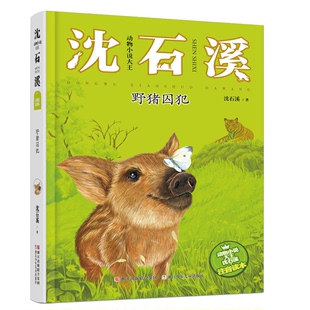 注音读本 野猪囚犯 动物小说大王沈石溪