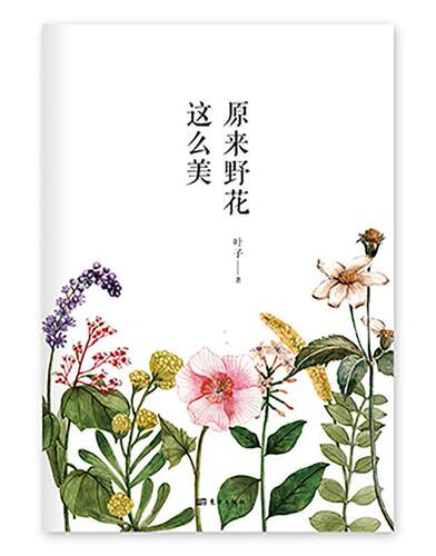原来野花这么美