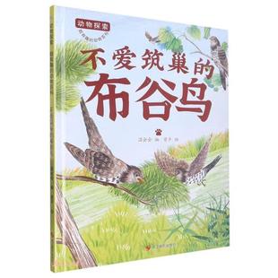 【正版】动物探索·超有趣的动物百科:不爱筑巢的布谷鸟(精