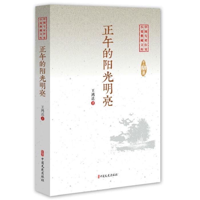 【正版】中国专业作家小说典藏文库:正午的阳光明亮王鸿达著