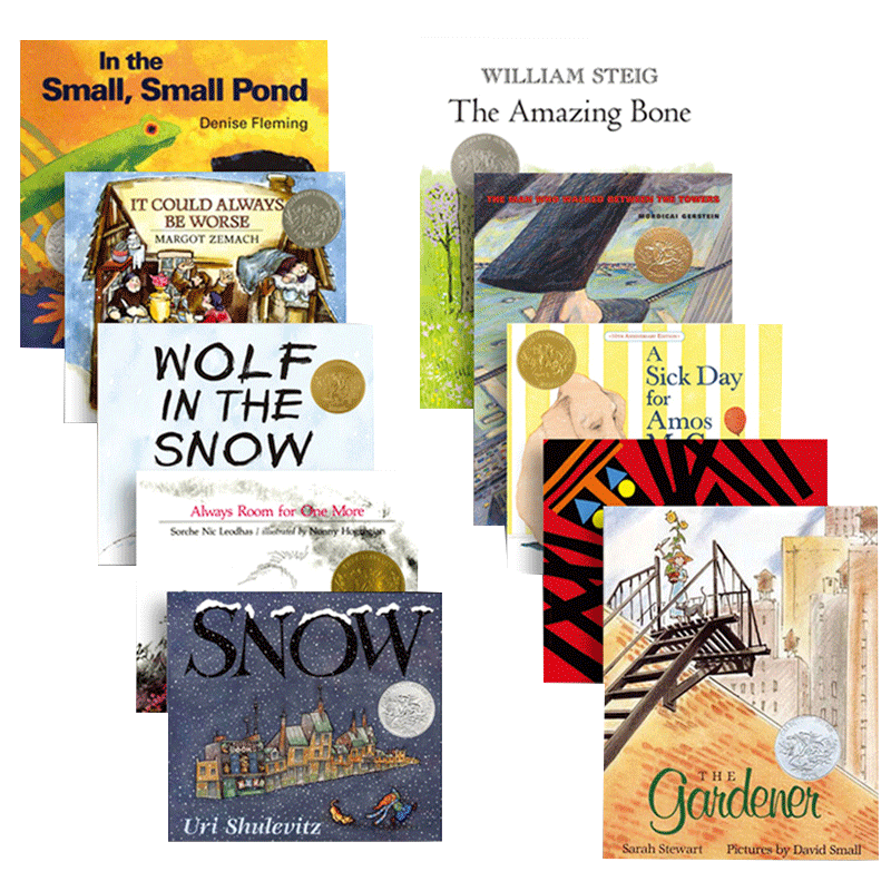 迪克奖绘本10册套装英文原版