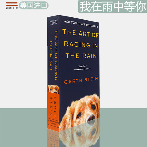 TheArtofRacingintheRain
