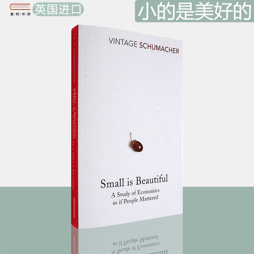 现货原版小的是美好的经济学经典