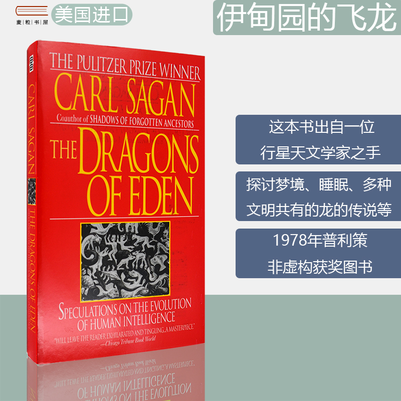 现货正版伊甸园的飞龙口袋版