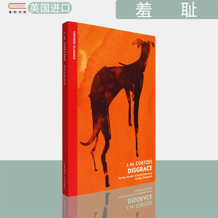 【现货】羞耻 Disgrace 诺贝尔文学奖获奖作者库切 J.M. Coetzee 1999年英国布克文学奖获奖小说 Vintage经典 正版进口 英文原版书