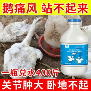 禽用鹅通风鸭鹅通风灵小鹅通风腿瘸全套站立不稳脖子瘫痪一瘸一拐