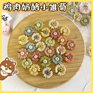 饰摆盘 可乐家手工自制宠物零食mini小花鸡肉奶酪饼干小狗狗生日装
