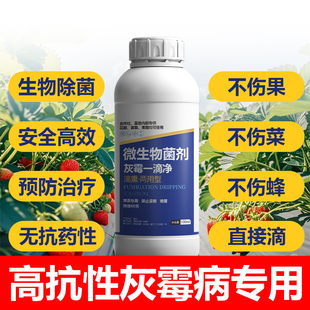 灰霉一滴净一亩一瓶防治灰霉病叶霉病蔬菜草莓持效60天熏蒸专用