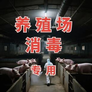 工业片碱50斤养殖场厨房油烟机消毒去油污值污水处理国标99纯碱片