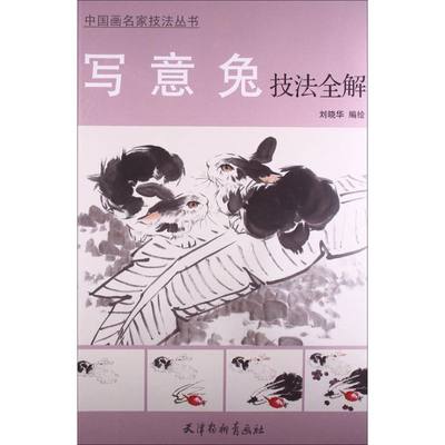 正版（包邮）中画名技法丛书:写意兔技法全解