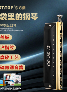 EASTTOP东方鼎半音阶口琴12孔C调专业高级入门初学者演奏OPUS12