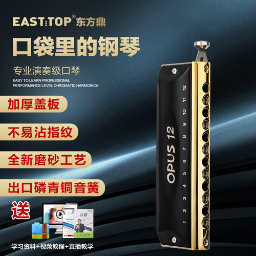 东方鼎半音阶口琴专业演奏