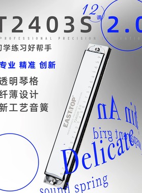 东方鼎24孔复音口琴学生C调成人练习初学者口琴演奏专业T2403S2.0