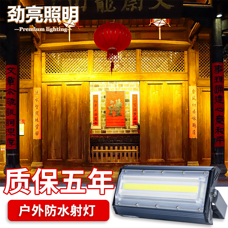 户外防水黄光投光灯室外庭院景观
