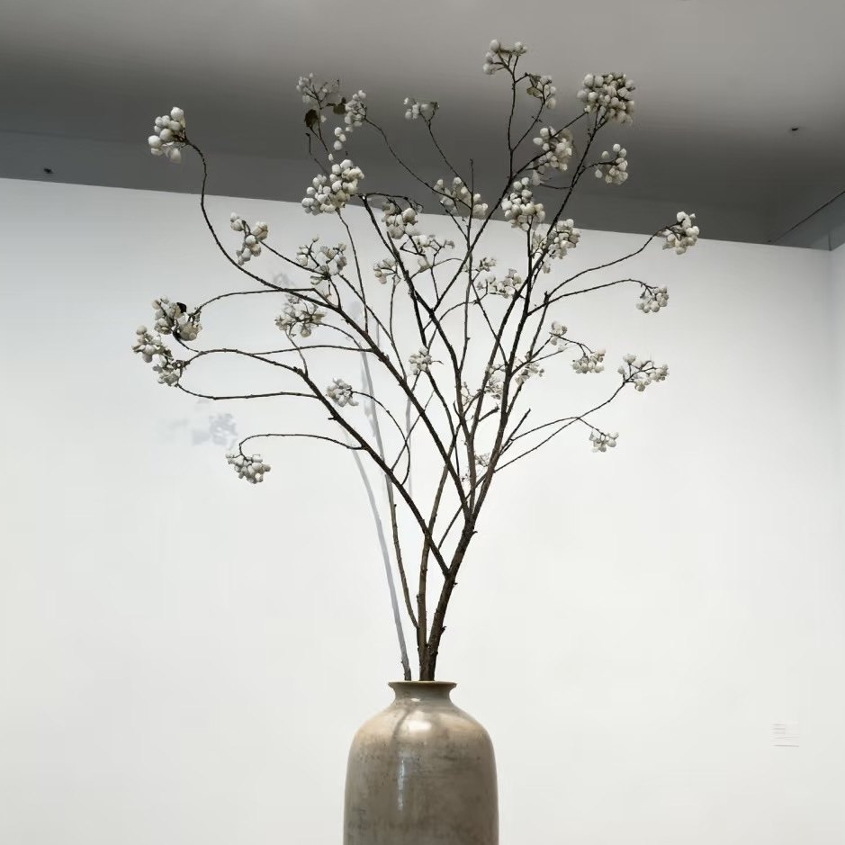 乌桕果【菩提果】小白果蝴蝶果可干花室内意境感高级感插花