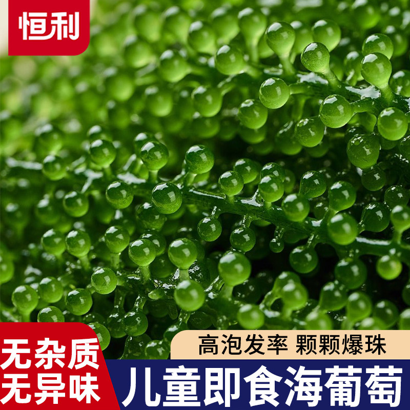 海葡萄即食新鲜泡发爆珠宝宝海洋图片