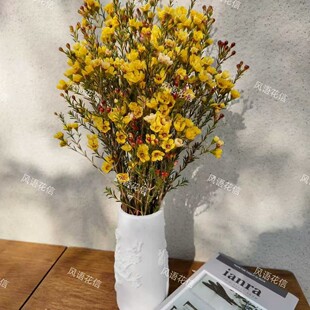 丨【黄色-澳洲腊梅】鲜切花澳洲腊梅花卉年宵花