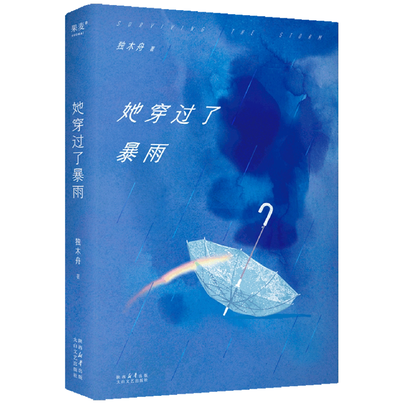 她穿过了暴雨 独木舟葛婉仪 冲动裸辞 友情爱情事业 突破困境 80后