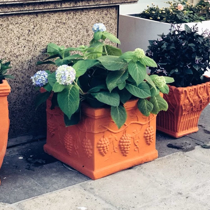 包邮红陶花盆大号红陶器阳台种菜