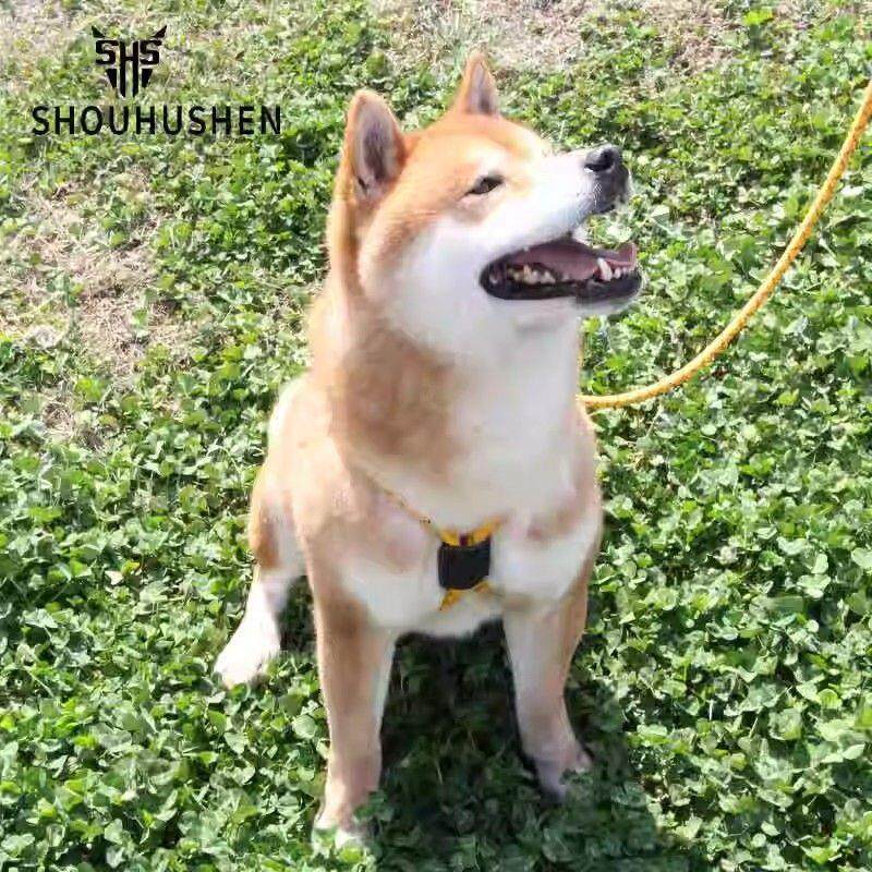 警犬专用背带狗狗K9胸背一体式牵引绳防脱惠比特防脱外出背心式绳