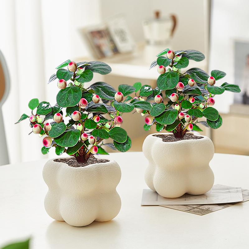 小盼菩提室内绿植四季好养活客厅阳台花卉盆栽办公室桌面植物盆景