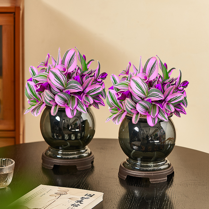 水培油画婚礼绿植室内客厅植物花卉四季好养办公室盆景桌面盆栽花