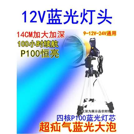 12V蓝光超疝气钓鱼灯9V-24V夜钓黄光头灯P100强光夹电瓶外接灯头