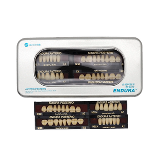 日本进口松风塑钢复合树脂烤瓷牙合成全口义齿假牙牙齿科口腔材料
