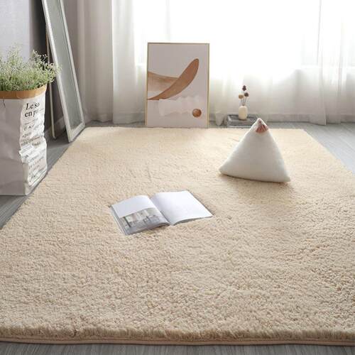 CarpetRugsPlhSofFLiv
