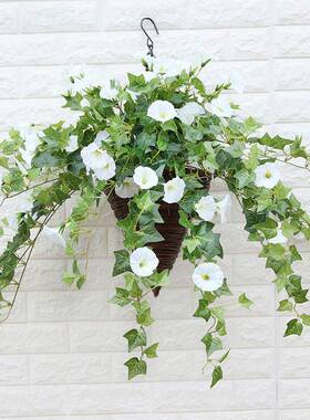 Artificial Vines Flowers Morning Glory Hanging Plants Fake G