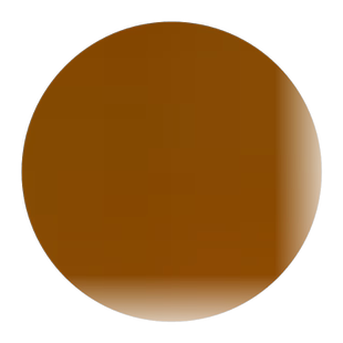 金盏菊花种子太阳花向日葵除虫菊花种籽子孑室外四季播种开花盆栽