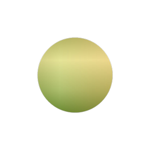 花棒籽蚂蚁森林防风固沙食饲用油用观赏灌木种子植被恢复专用包邮