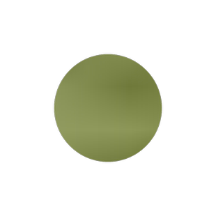 水生植物 再力花种子千屈菜 花叶芦竹香蒲芦苇水葱梭鱼草鸢尾种子