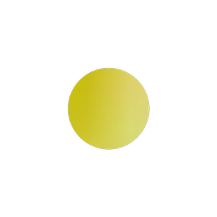 特级黄菊花种子食用泡茶贡菊庭院金丝黄菊野生杭白菊野菊花种子