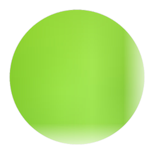 佛甲草种子佛甲草草籽 草坪种子楼顶屋顶绿化 耐热耐寒耐旱包成活