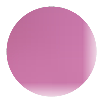 花卉种子 杜鹃花种子 映山红种子 一品红种子 盆栽阳台观赏植物