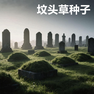 清明草籽坟头草籽坟头绿化多年生草籽响铃草籽长镰草籽坟地多年生