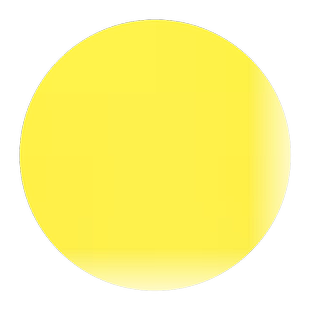 连翘花迎春花种子花开香气淡艳满枝金黄抗病虫耐旱耐寒连翘种子