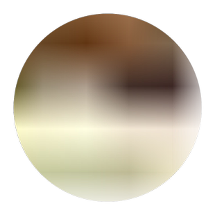 四季播翠菊种子菊花问天室外室内易活四季春播野花草花种大全易种