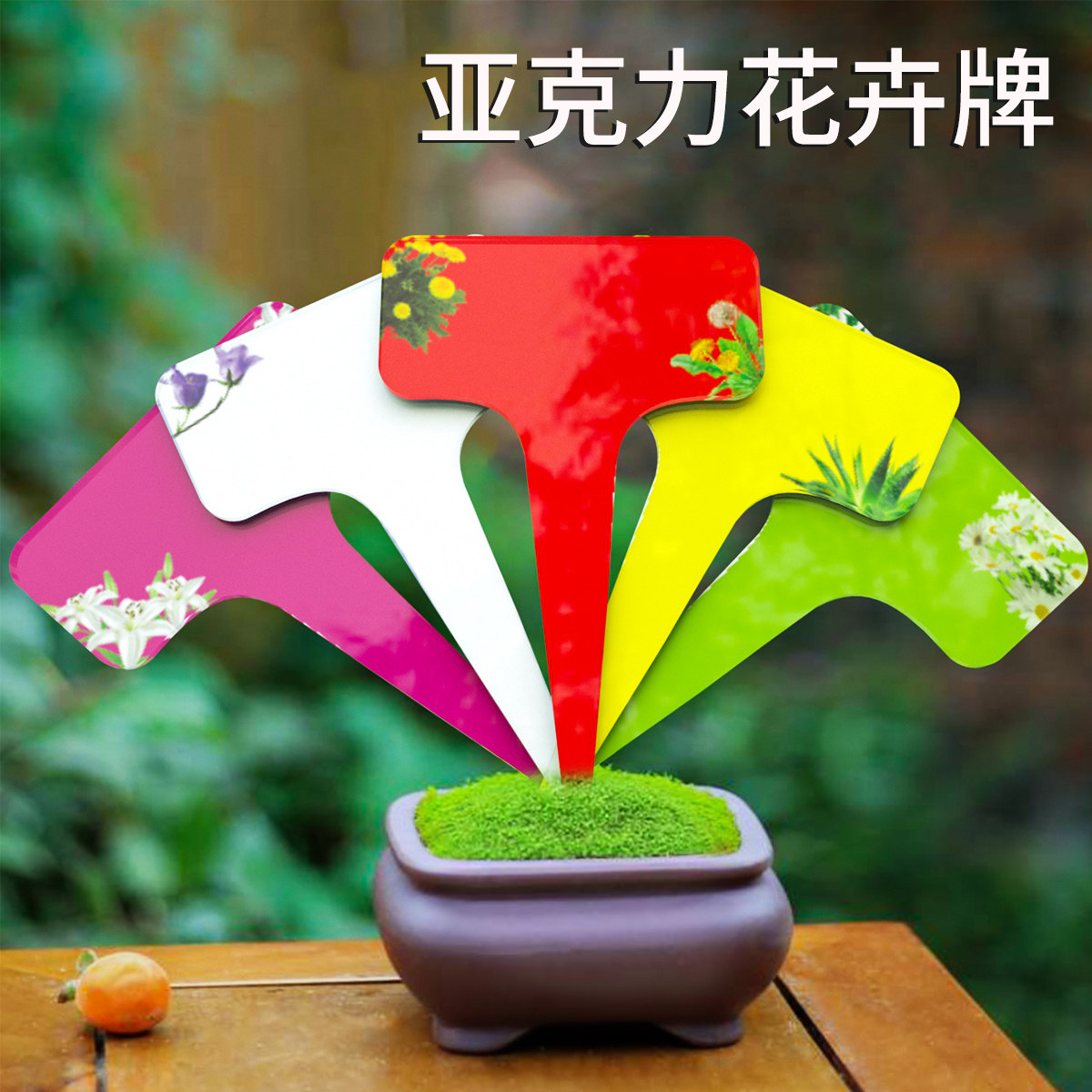 亚克力金农加厚塑料多肉标签花卉园艺插地牌多肉植物名字标签可书写