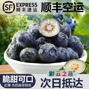 (脆甜花香25蓝莓 全家桶 )正宗云南澄江抚仙湖果园直发顺丰空运