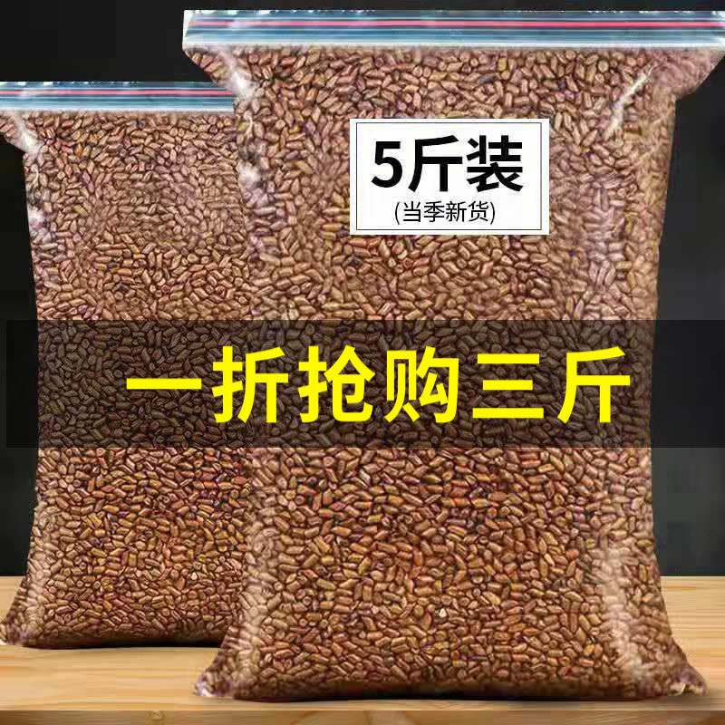 新货决明子茶熟决明子罐装正品炒熟草...