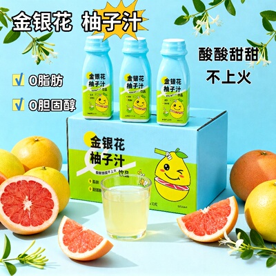 金银花柚子汁220ml*10瓶果汁饮料0添加好喝苹果汁梨子饮品